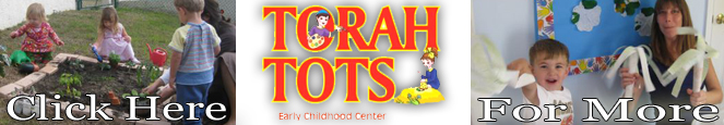Torah Tots Web Banner.jpg